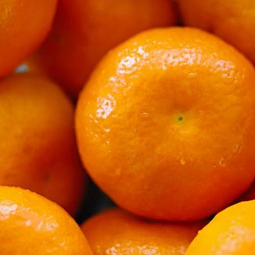 Mandarine